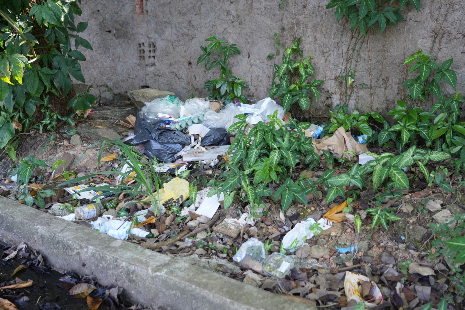 Cidadão pode realizar sua denúncia através do telefone (69) 98473-2922