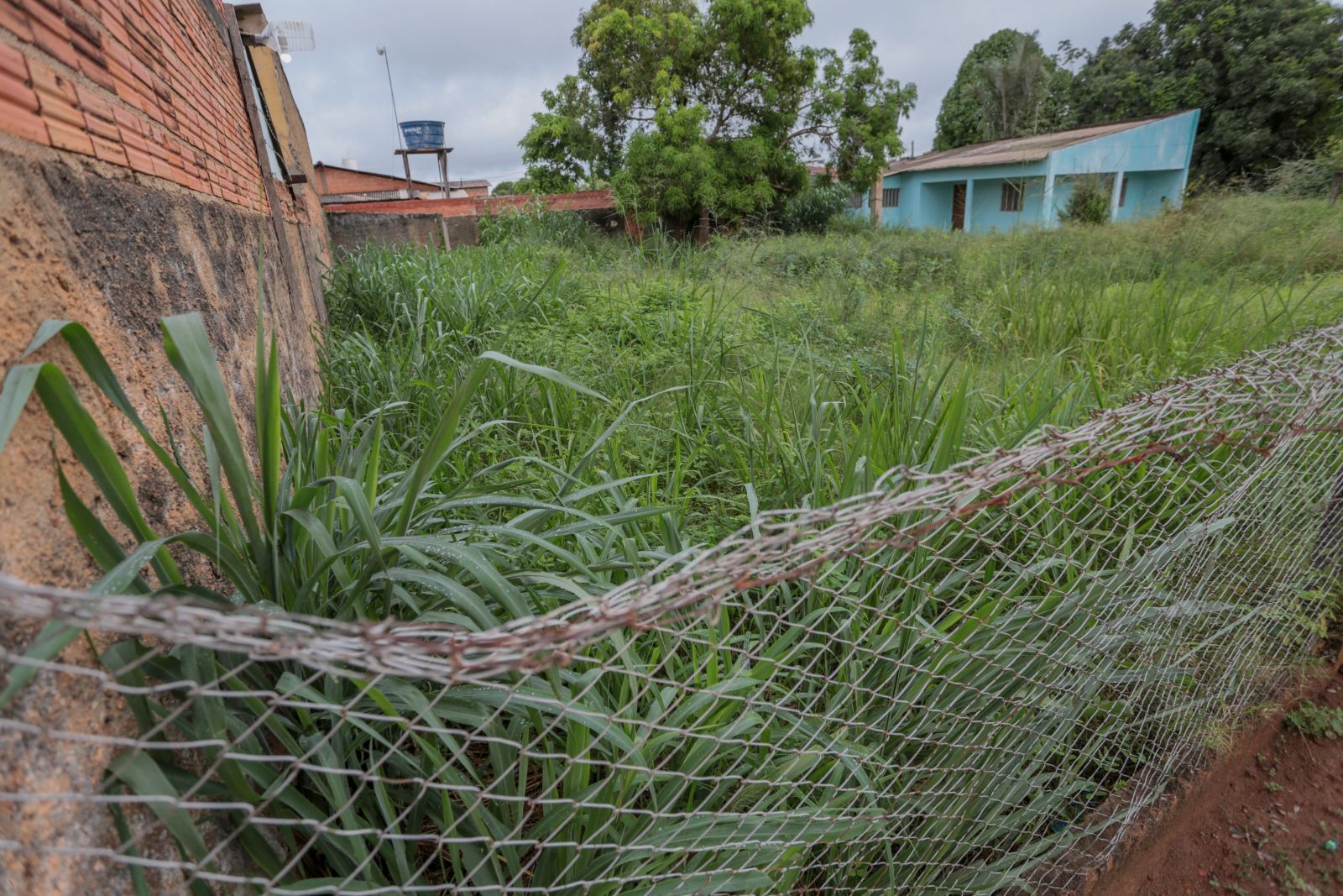  Semusb alerta que terrenos baldios representam grande risco para a saúde