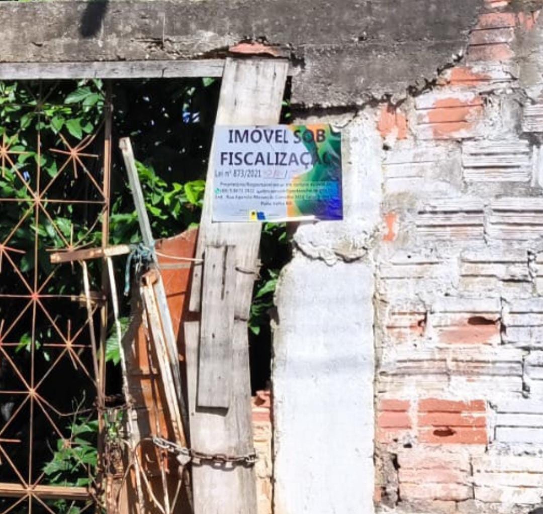 Nesse ano foram registradas cerca de 600 denúncias relacionadas a terrenos baldios