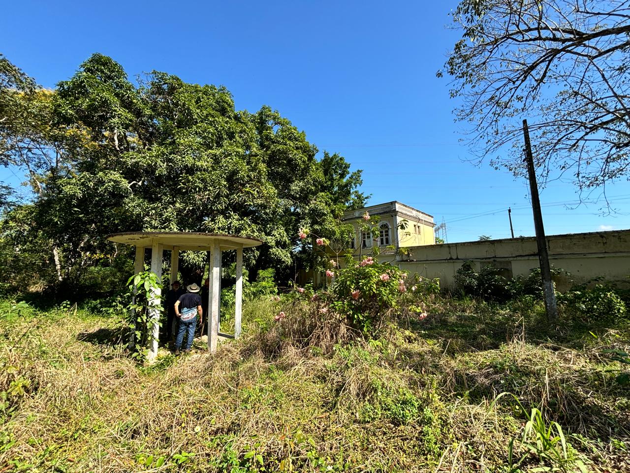 Quando a equipe chegou, o local estava tomado pelo mato